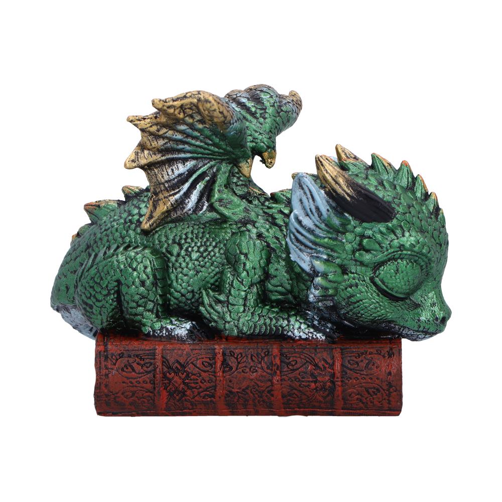 Sleeping Dragon On Books