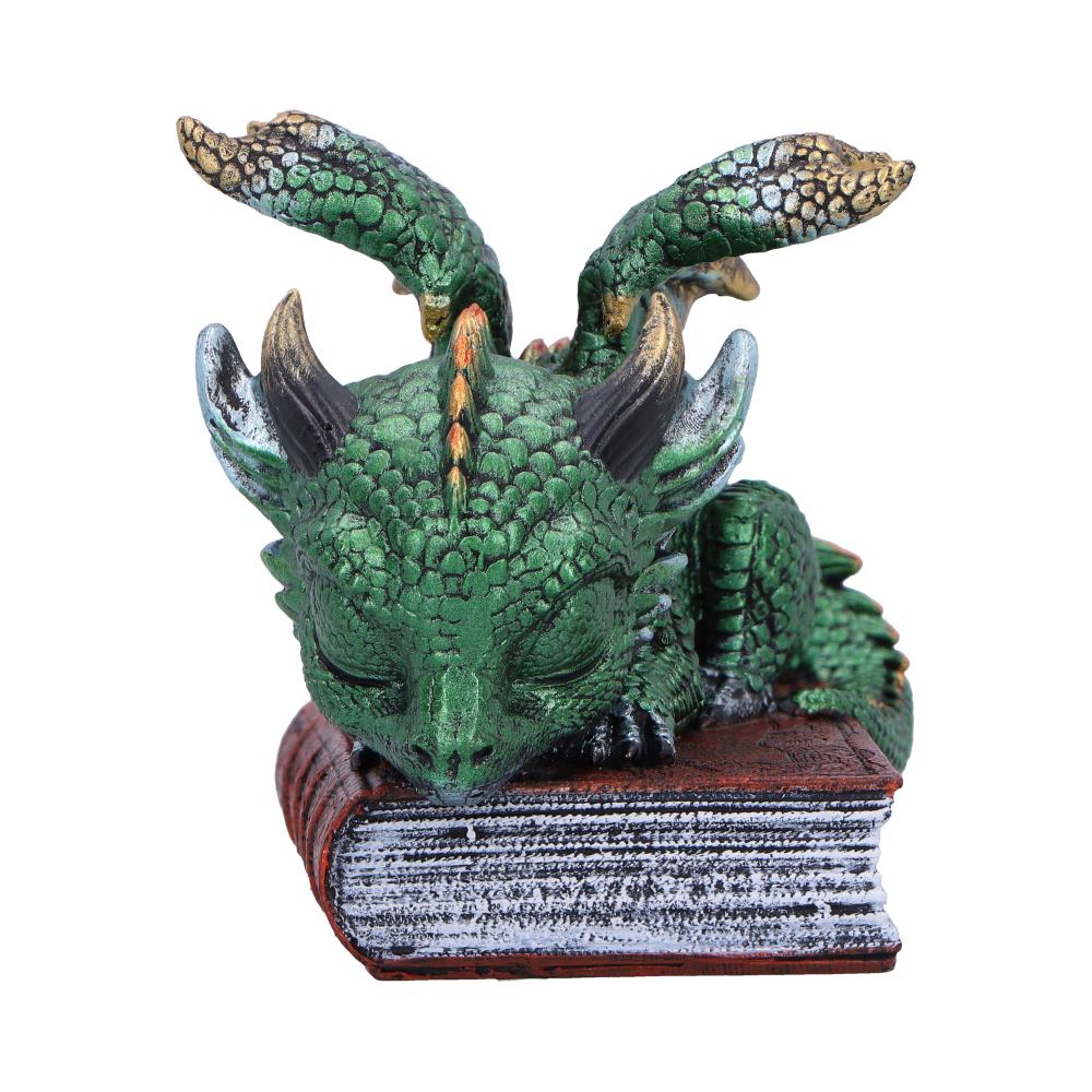 Sleeping Dragon On Books