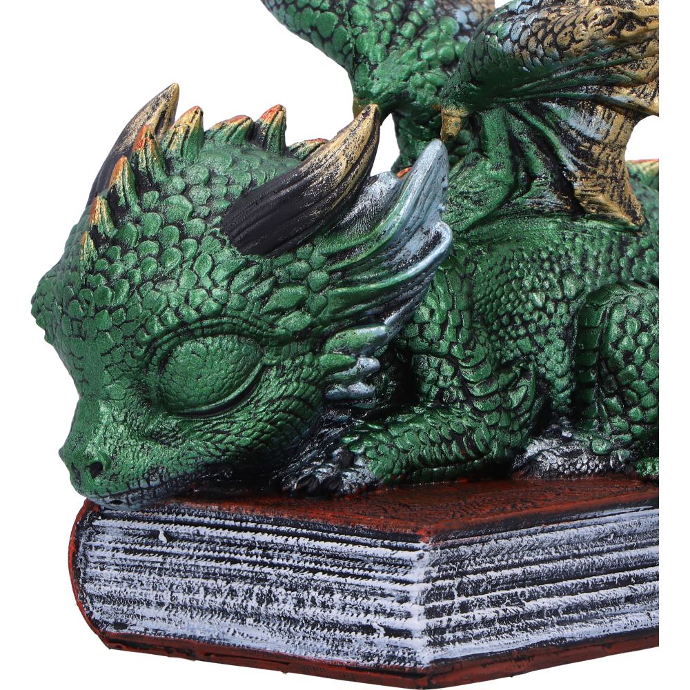 Sleeping Dragon On Books