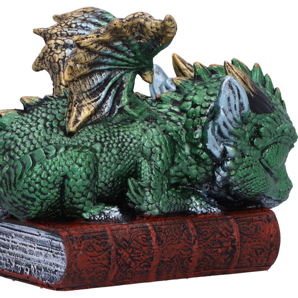 Sleeping Dragon On Books