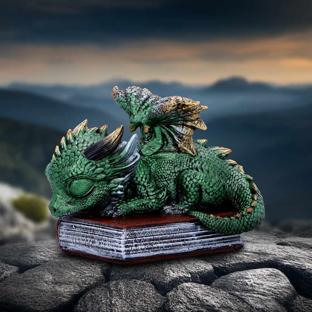Sleeping Dragon On Books