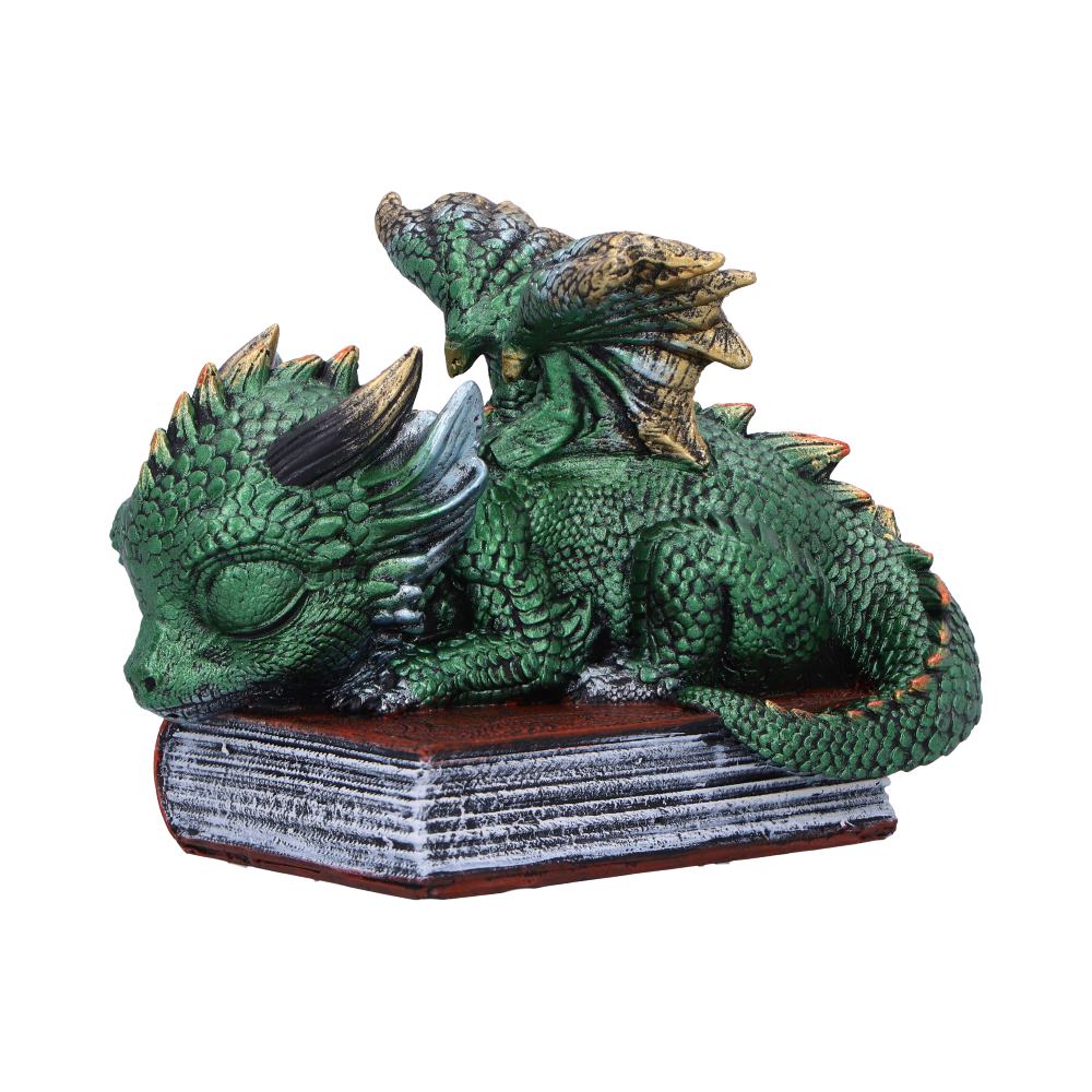 Sleeping Dragon On Books