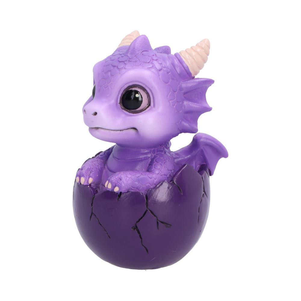 Shellbound Purple Dragon