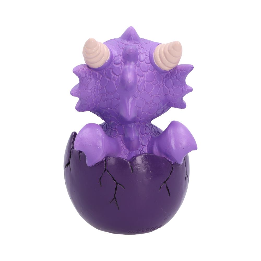 Shellbound Purple Dragon