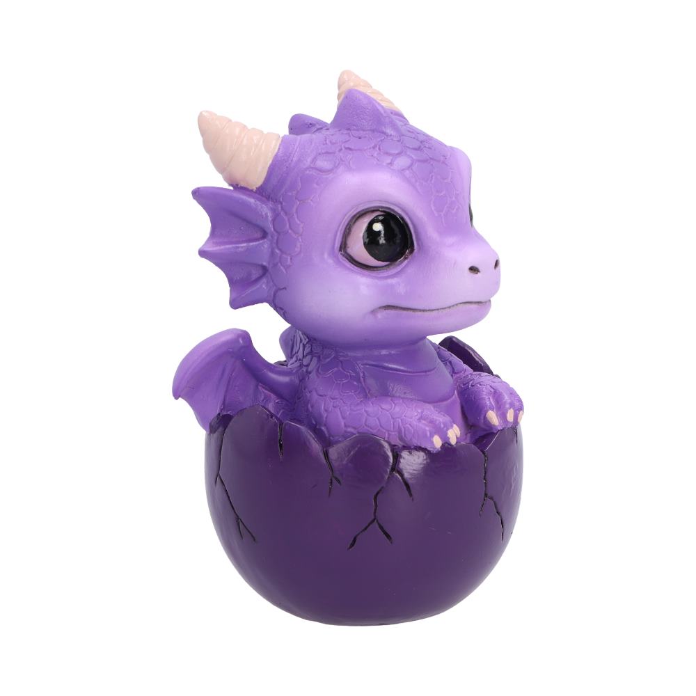Shellbound Purple Dragon