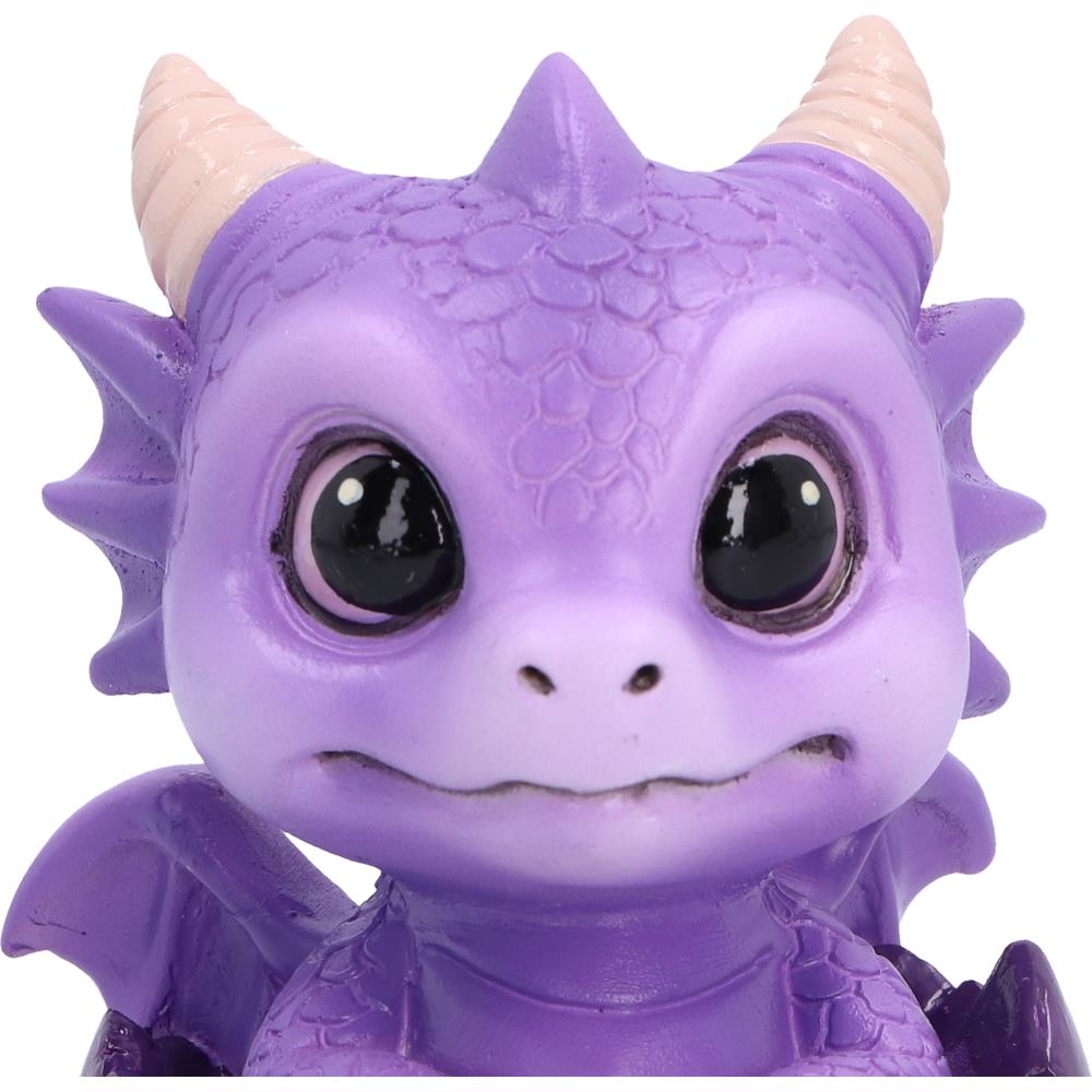 Shellbound Purple Dragon