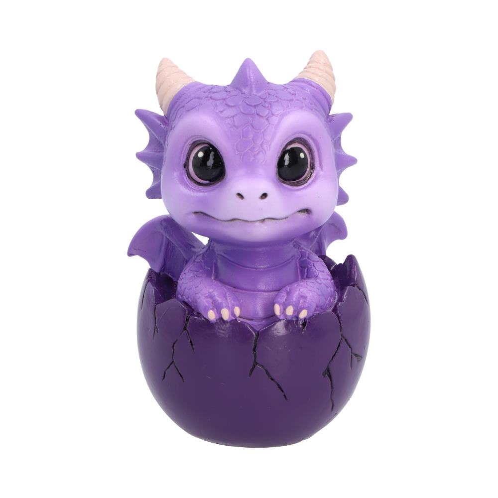 Shellbound Purple Dragon
